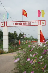 Quang Ngai Countryside: A Floral Paradise Along the Rural Roads - image 3