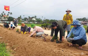 Quang Ngai Countryside: A Floral Paradise Along the Rural Roads - image 10