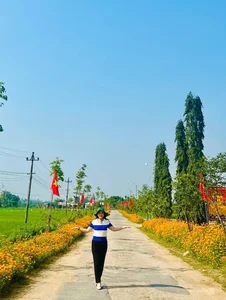 Quang Ngai Countryside: A Floral Paradise Along the Rural Roads - image 5