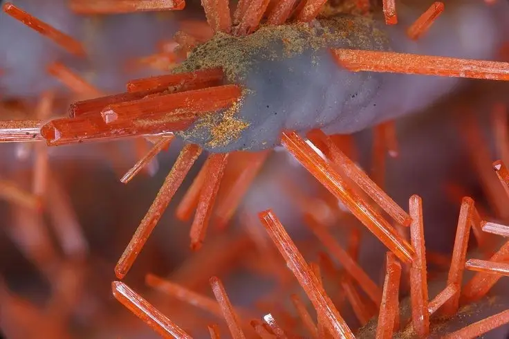 Discover Crocoite: The world's rarest brilliant orange-red mineral, a stunning crystal masterpiece