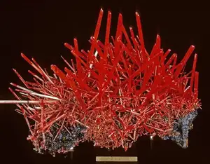 Discover Crocoite: The world's rarest brilliant orange-red mineral, a stunning crystal masterpiece - image 6