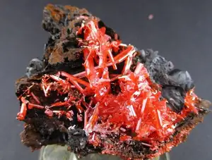 Discover Crocoite: The world's rarest brilliant orange-red mineral, a stunning crystal masterpiece - image 4