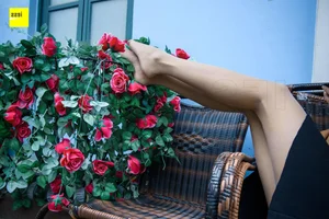Wanping Rose and Meat Silk Sixiangjia 161 IESS Elegant Hosiery Collection - image 57