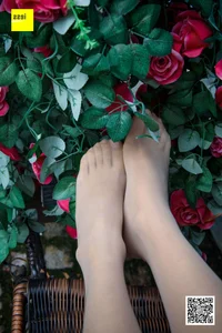 Wanping Rose and Meat Silk Sixiangjia 161 IESS Elegant Hosiery Collection - image 84
