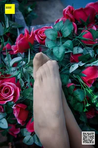 Wanping Rose and Meat Silk Sixiangjia 161 IESS Elegant Hosiery Collection - image 87