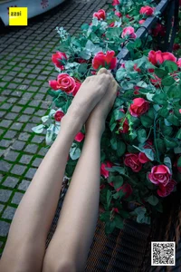 Wanping Rose and Meat Silk Sixiangjia 161 IESS Elegant Hosiery Collection - image 18