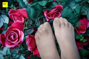 Wanping Rose and Meat Silk Sixiangjia 161 IESS Elegant Hosiery Collection - image 13