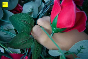 Wanping Rose and Meat Silk Sixiangjia 161 IESS Elegant Hosiery Collection - image 37