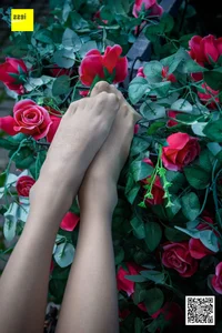 Wanping Rose and Meat Silk Sixiangjia 161 IESS Elegant Hosiery Collection - image 29