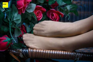 Wanping Rose and Meat Silk Sixiangjia 161 IESS Elegant Hosiery Collection - image 3