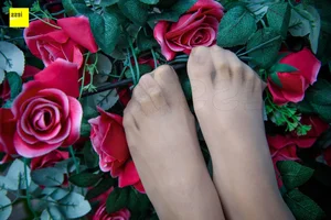 Wanping Rose and Meat Silk Sixiangjia 161 IESS Elegant Hosiery Collection - image 48