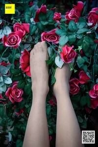 Wanping Rose and Meat Silk Sixiangjia 161 IESS Elegant Hosiery Collection - image 50