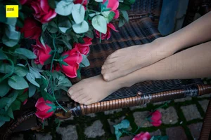 Wanping Rose and Meat Silk Sixiangjia 161 IESS Elegant Hosiery Collection - image 24