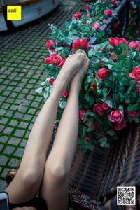 Wanping Rose and Meat Silk Sixiangjia 161 IESS Elegant Hosiery Collection - image 59