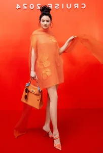 Lý Nhã Kỳ and Top Vietnamese Celebrities Grace the Red Carpet at Recent High-Profile Fashion Event - image 9