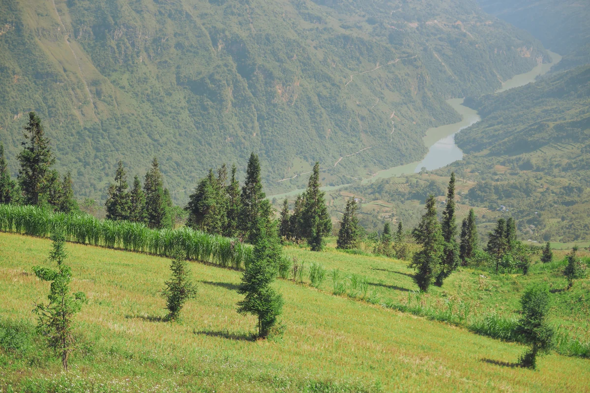 Suoi Thau Plateau: Discover the Breathtaking Buckwheat Flower Season in Ha Giang