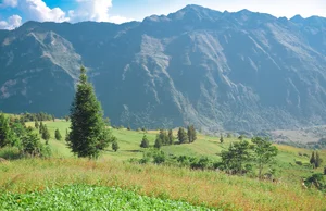 Suoi Thau Plateau: Discover the Breathtaking Buckwheat Flower Season in Ha Giang - image 4