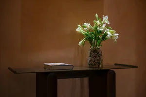 Mr Cuong Villa: A Minimalist Neoclassical Riverside Masterpiece on the Saigon River - image 30