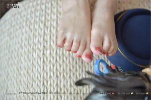 IESS Silk Foot Bento 152 - Barefoot Feast Photography Collection - image 80