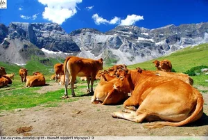 Breathtaking views of the highest limestone massif in Europe - image 2