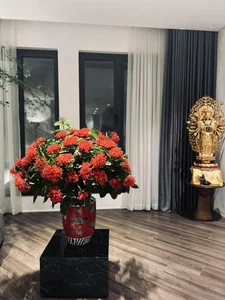 Inside a Prestigious High-Class Residence: Exploring the Sophisticated Living Space of a Renowned Media Personality - image 2