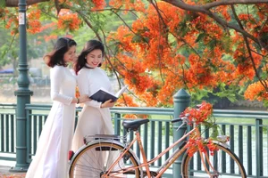 Ultimate Hai Phong Travel Guide 2024: Top 10 Must-Visit Attractions and Hidden Gems - image 1
