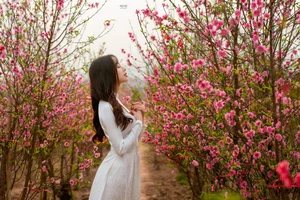 Stunning Beauty Gallery: Exploring the Elegant Style and Charisma of Ngan Ha - image 13