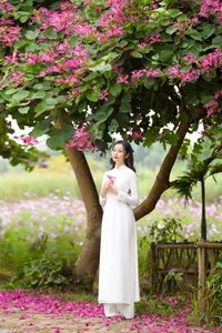 Stunning Beauty Gallery: Exploring the Elegant Style and Charisma of Ngan Ha - image 21