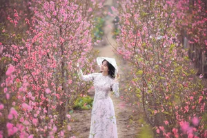 Stunning Beauty Gallery: Exploring the Elegant Style and Charisma of Ngan Ha - image 15