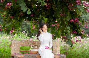 Stunning Beauty Gallery: Exploring the Elegant Style and Charisma of Ngan Ha - image 12