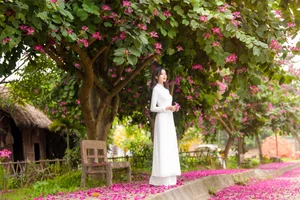 Stunning Beauty Gallery: Exploring the Elegant Style and Charisma of Ngan Ha - image 6