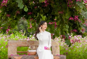 Stunning Beauty Gallery: Exploring the Elegant Style and Charisma of Ngan Ha - image 2