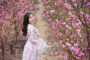 Stunning Beauty Gallery: Exploring the Elegant Style and Charisma of Ngan Ha - image 7