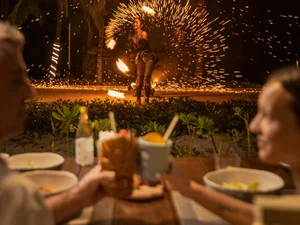 Gourmet Christmas Menu: Serving the Perfect Roasted Turkey and Luxury King Crab - image 2