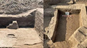 The Mystery of the Snake Goddess: New Archaeological Finds in Egypt's Tower House - image 2