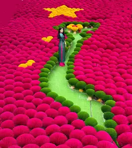 Discover Quang Phu Cau Incense Village: Vibrant Red Hue Draws Tourists Near Hanoi - image 2