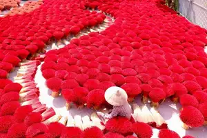 Discover Quang Phu Cau Incense Village: Vibrant Red Hue Draws Tourists Near Hanoi - image 0