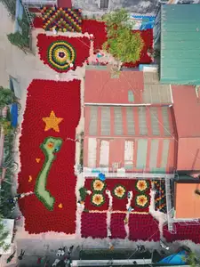 Discover Quang Phu Cau Incense Village: Vibrant Red Hue Draws Tourists Near Hanoi - image 4
