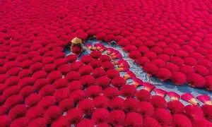 Discover Quang Phu Cau Incense Village: Vibrant Red Hue Draws Tourists Near Hanoi - image 7