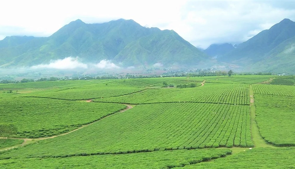 Comprehensive Travel Guide to Lai Chau: Discovering Northern Vietnam's Hidden Gems