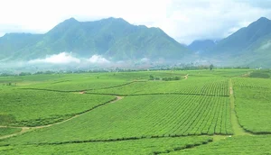 Comprehensive Travel Guide to Lai Chau: Discovering Northern Vietnam's Hidden Gems - image 0