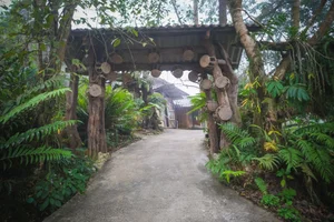 Comprehensive Travel Guide to Lai Chau: Discovering Northern Vietnam's Hidden Gems - image 1