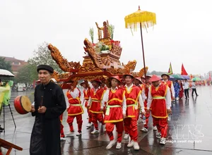 Unique Palanquin Procession at Hung Temple Vietnam Cultural Heritage - image 1
