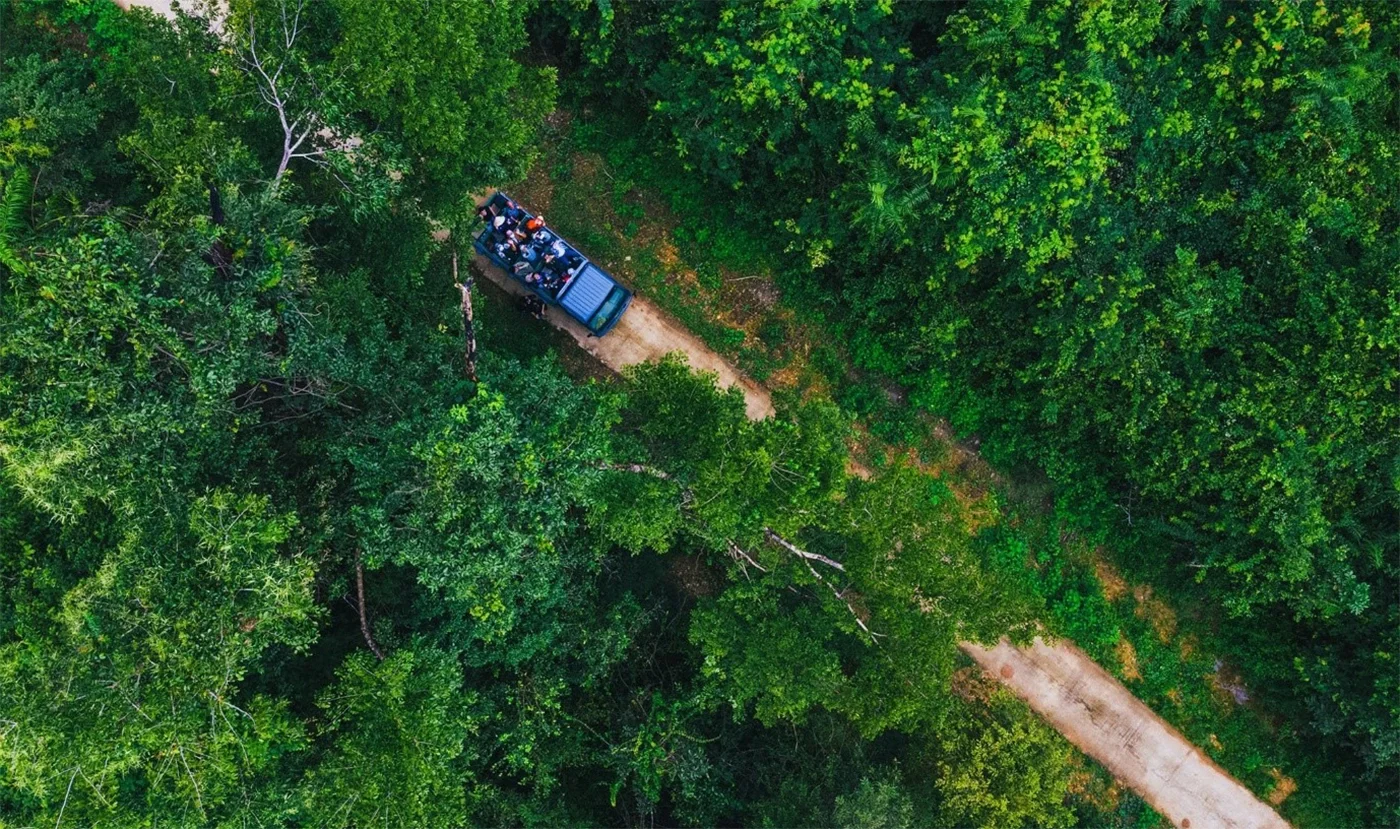 The Ultimate 2024 Guide to Cat Tien National Park: Travel, Dining, and Exploration