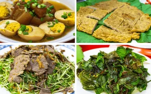 The Ultimate 2024 Guide to Cat Tien National Park: Travel, Dining, and Exploration - image 5