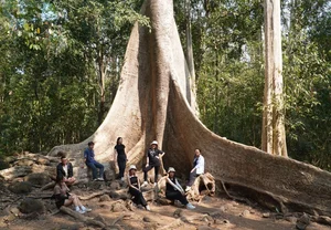 The Ultimate 2024 Guide to Cat Tien National Park: Travel, Dining, and Exploration - image 6