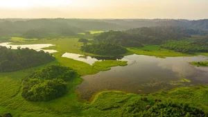 The Ultimate 2024 Guide to Cat Tien National Park: Travel, Dining, and Exploration - image 1