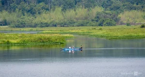 The Ultimate 2024 Guide to Cat Tien National Park: Travel, Dining, and Exploration - image 3