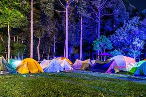 The Ultimate 2024 Guide to Cat Tien National Park: Travel, Dining, and Exploration - image 4