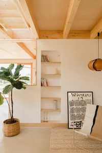 Creative Architecture: A Stunning One-Story Home Built on a Challenging Triangular Plot - image 17